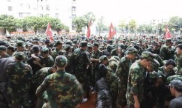 最新军训爆料新闻报道稿,揭秘校园军营生活精彩瞬间